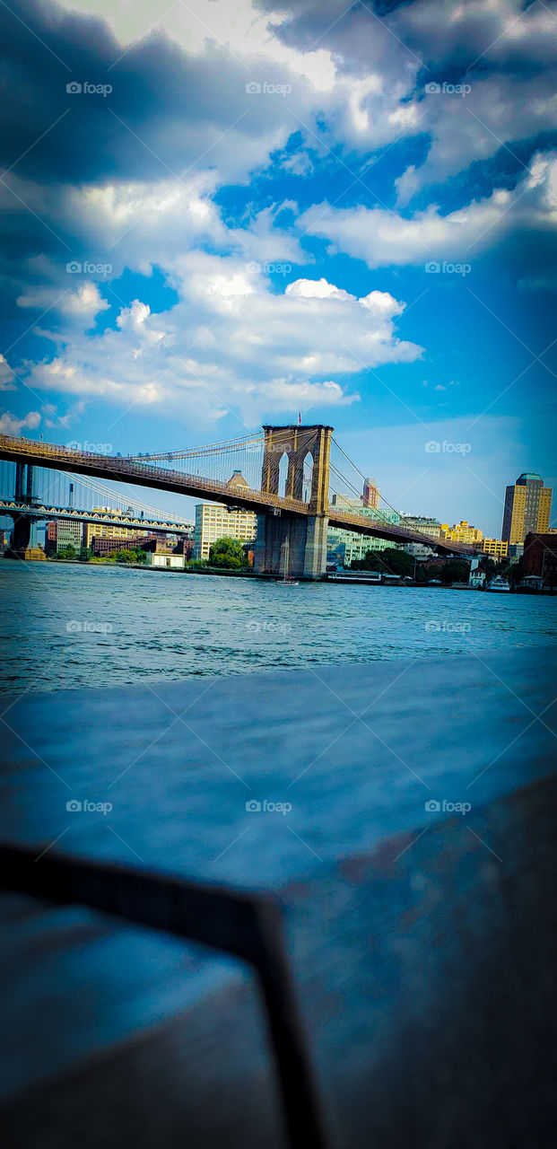 The Brooklyn Bridge!