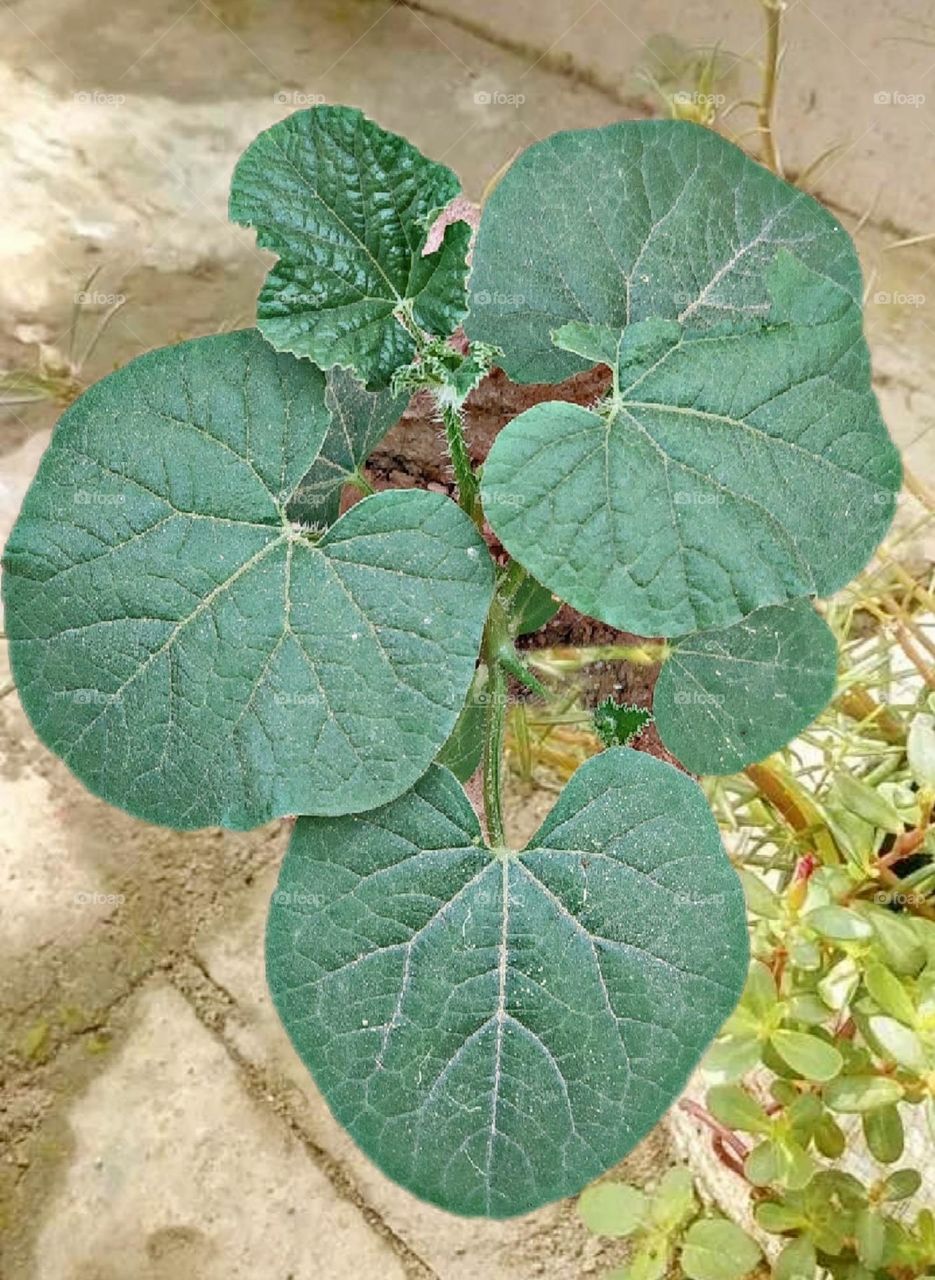 most beautiful and attractive view.