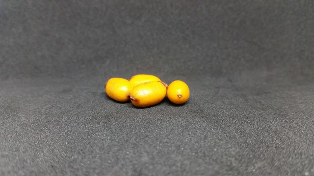 photo of dates