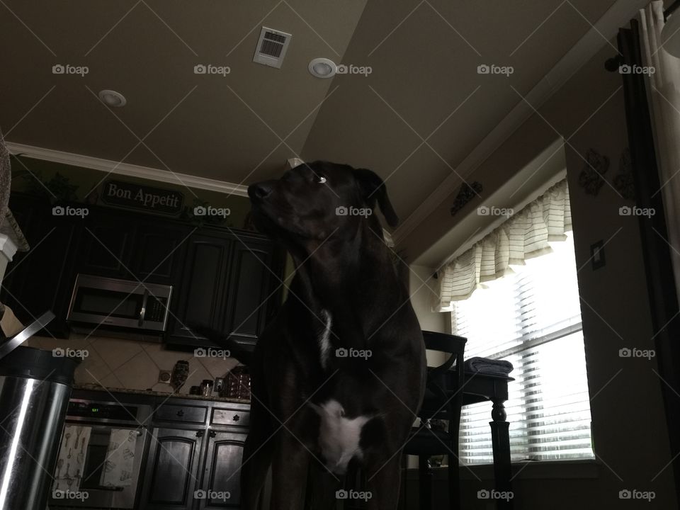 People, Indoors, One, Room, Portrait