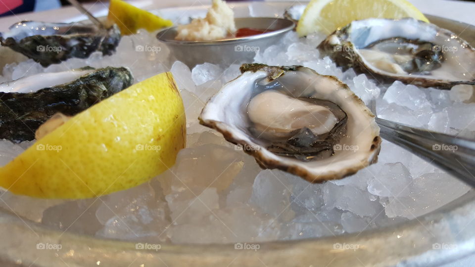 chilled oysters on ice
