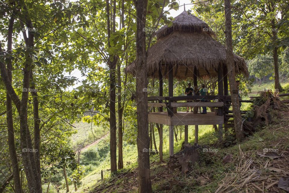 Hut on stilts 