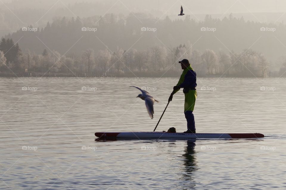 Standup Paddler In Winter