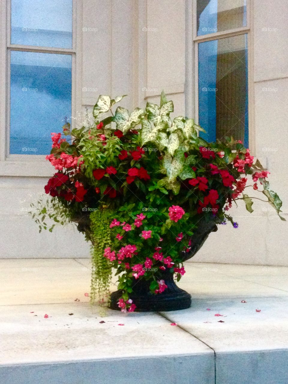 Formal Floral arrangement 