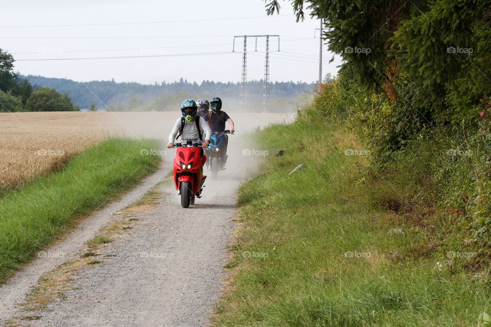 Harvesting . Boys on mopeds in wheat field 
