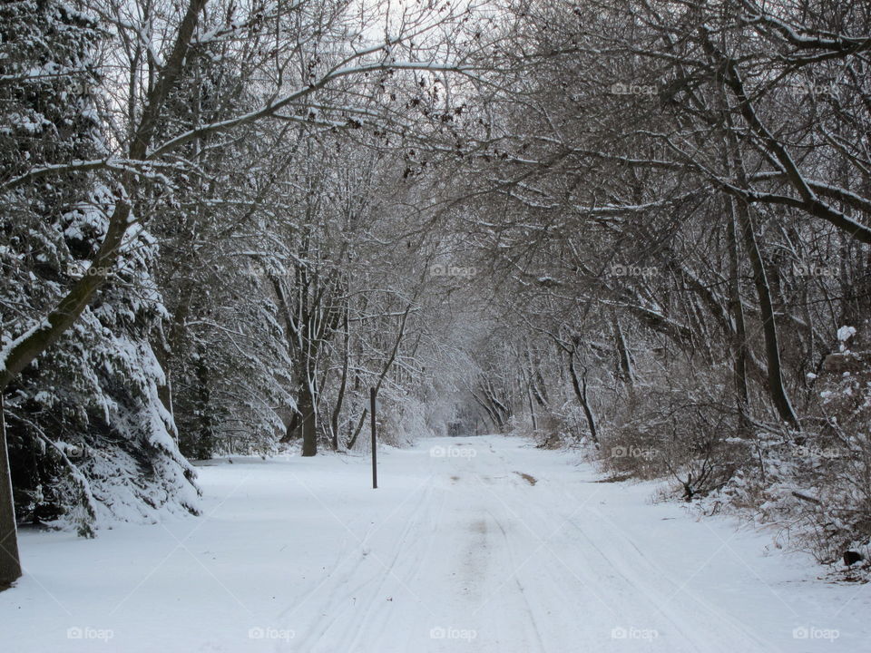 Snow path