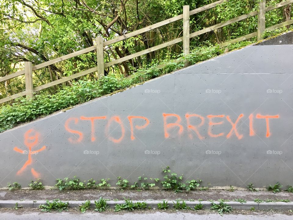 UK EU Politics Stop Brexit Referendum Withdraw Reverse Rural Urban Graffiti