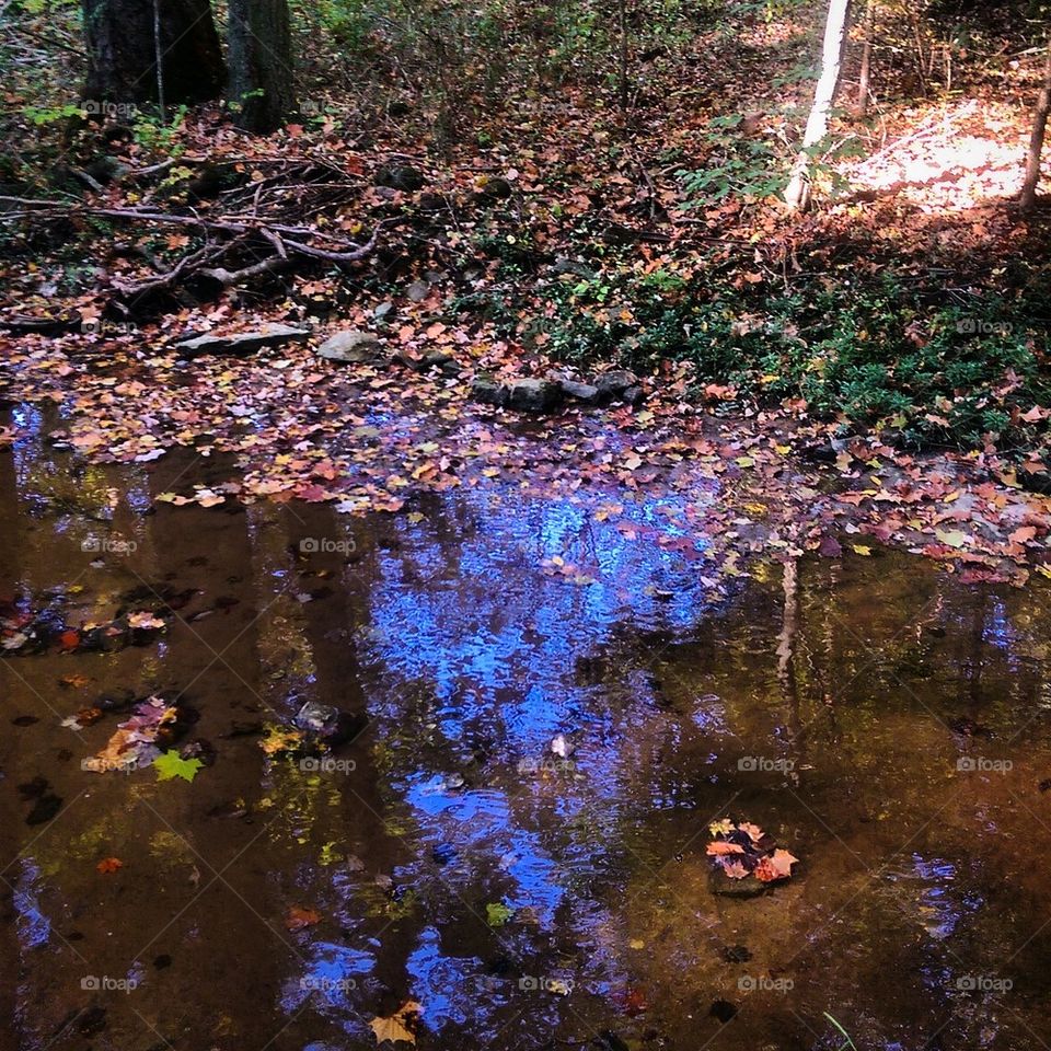 Autumn Creek 