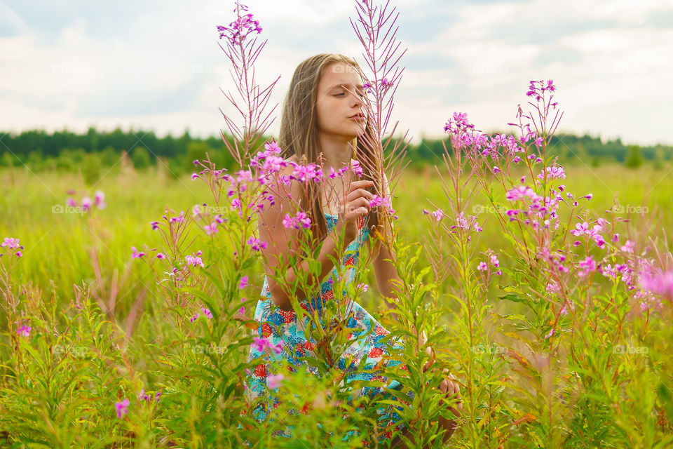 Fields of flowers