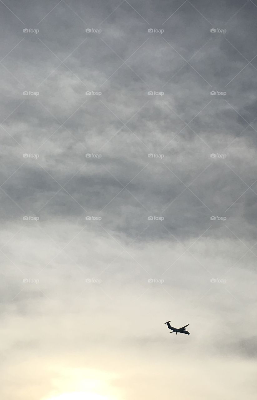 Airplane in the sky 