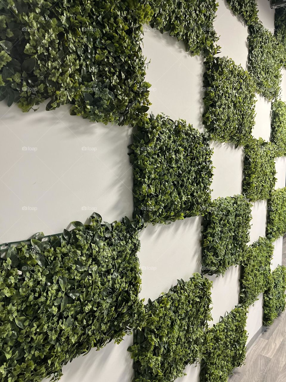 Green grass in a white wall