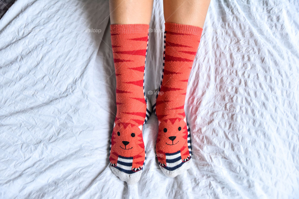 cute socks with cat