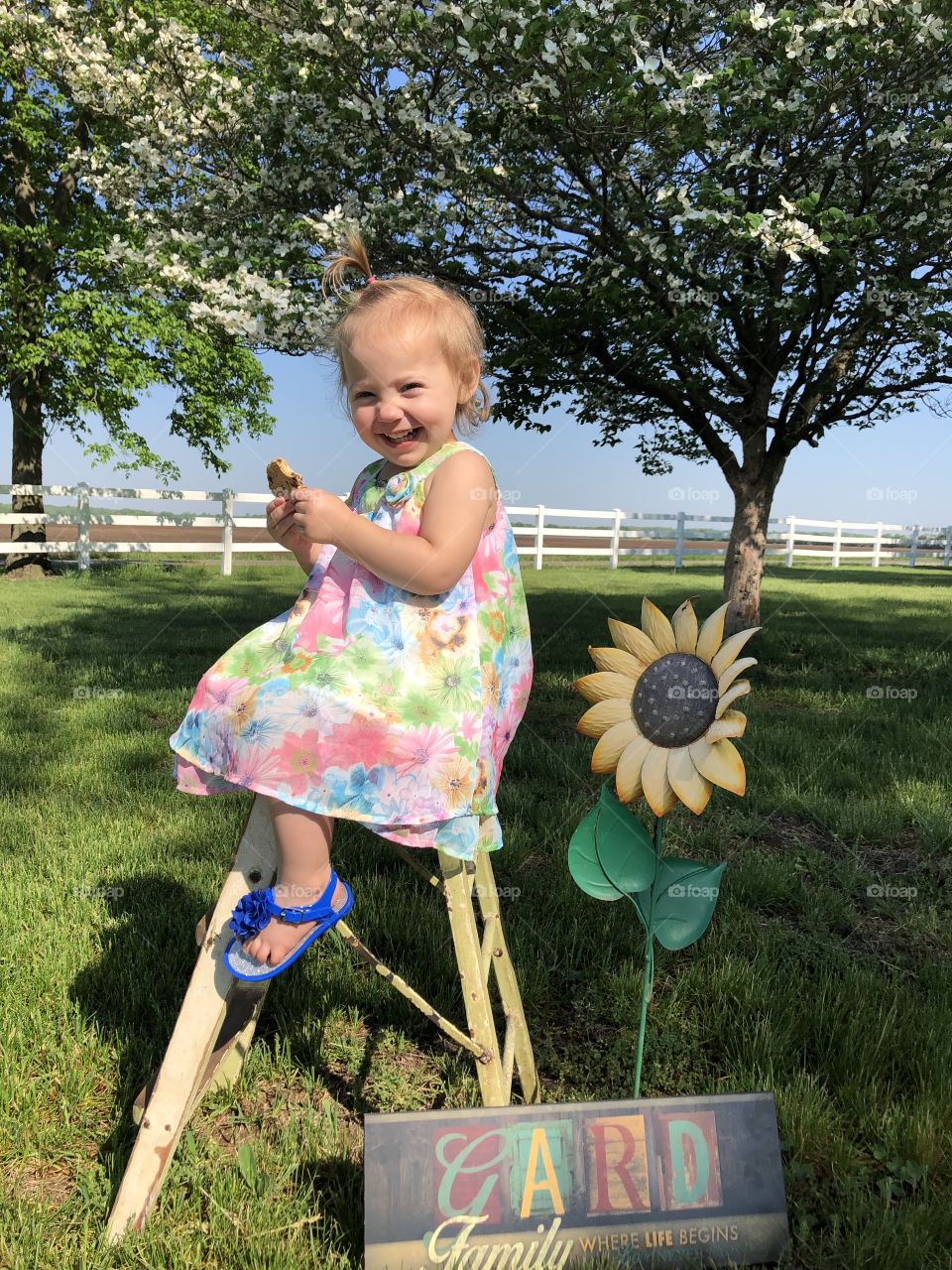 Toddler girl sits on stool outdoors enjoying cookie with a smile