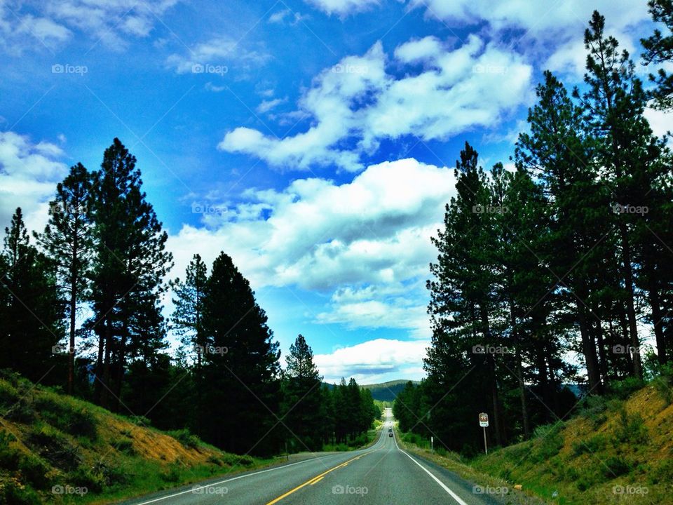 Driving through Oregon.
