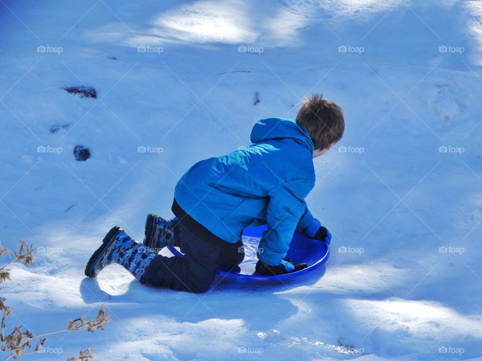 Boy Sledding In The Snow