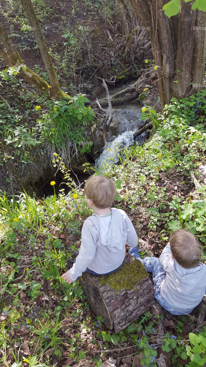 Twins watching a small waterfall in the wood