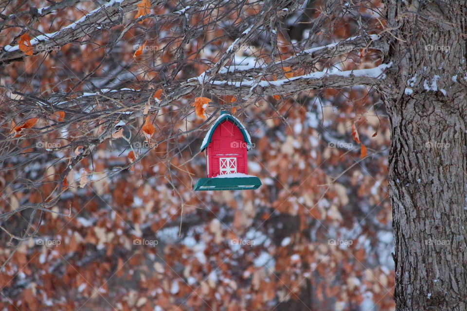 Red house hanging on a tree, tree decor 