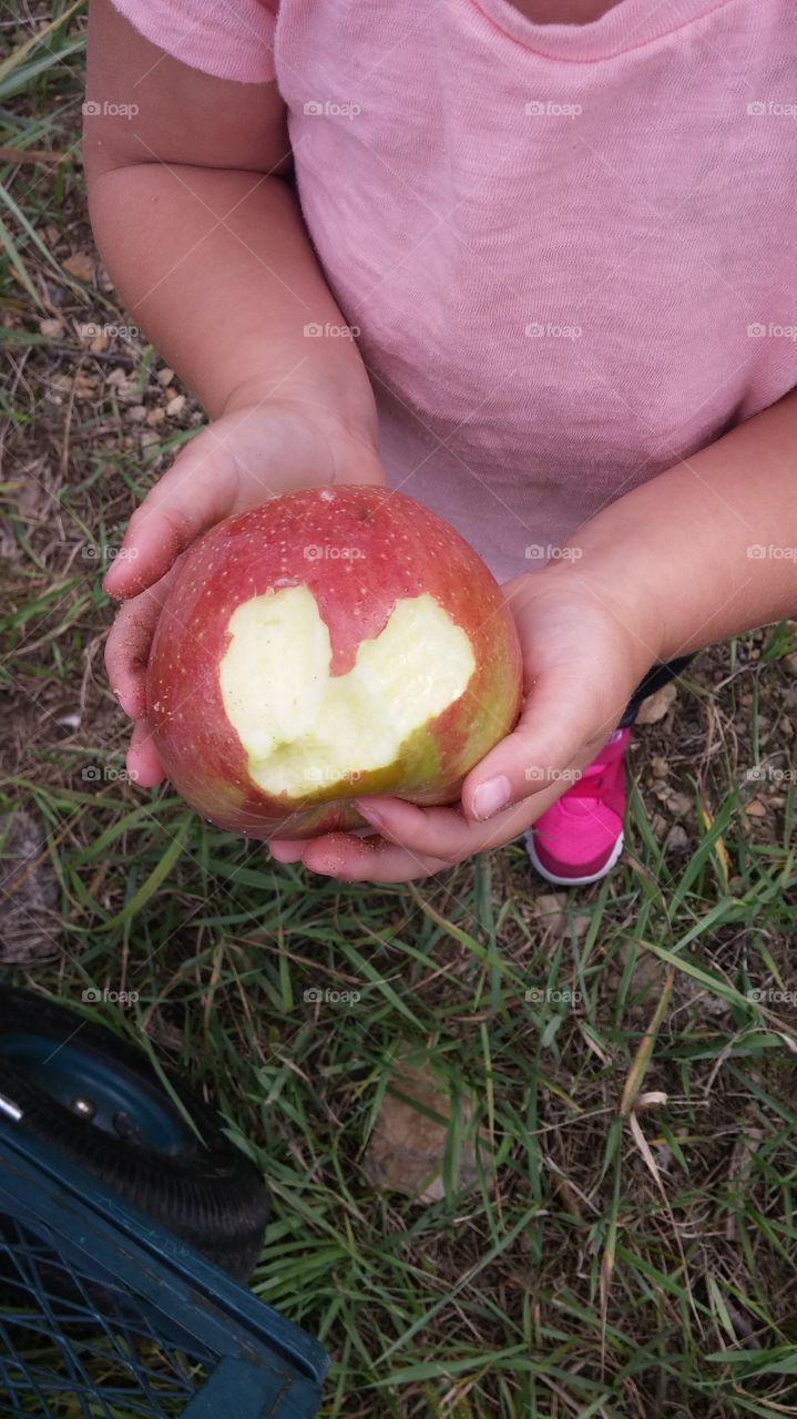 heart in her hands. my daughter took a few bites of this Apple at the orchard and chewed a heart into the Apple.  she is only 2 yrs old