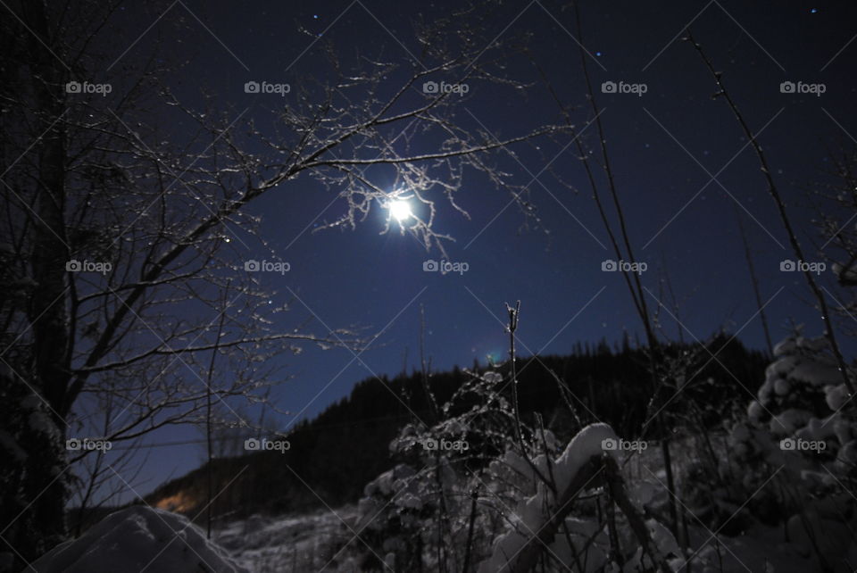 Winter evening with moonlight
