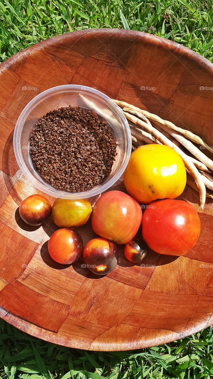 Garden Harvest. Fresh fruits and vegetables