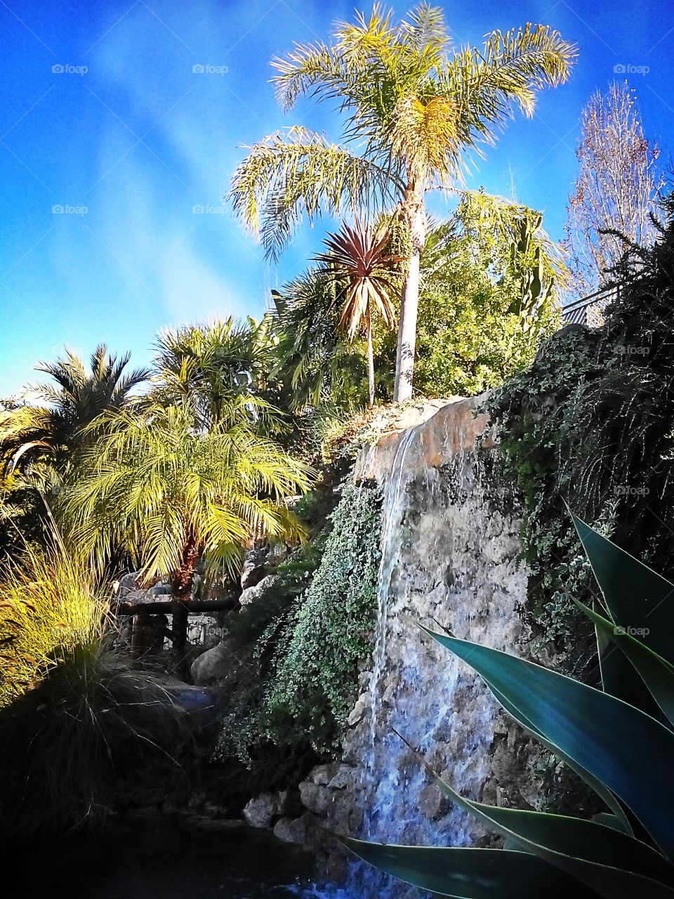 Waterfall in the park, Alhaurin el Grande