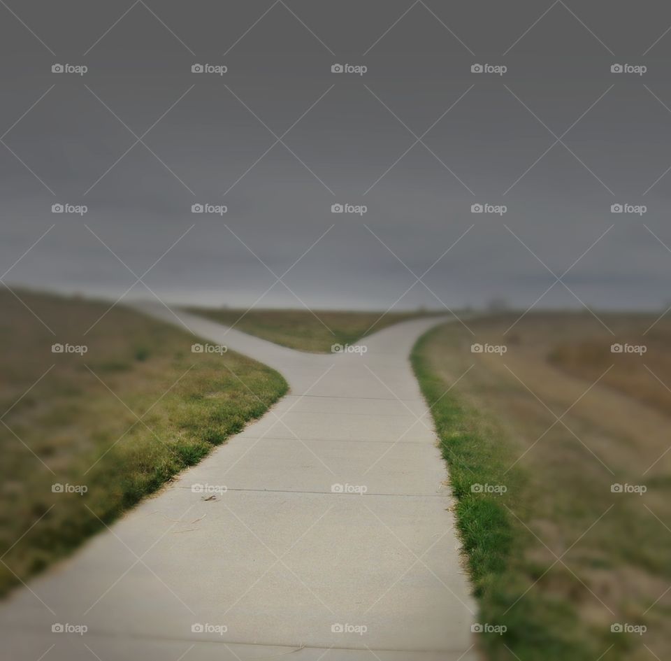 Which path to take. A fork in path