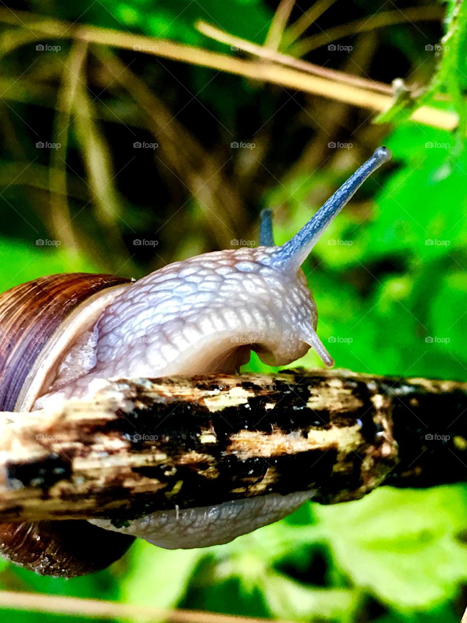 Captured with iPhone 6s Plus 