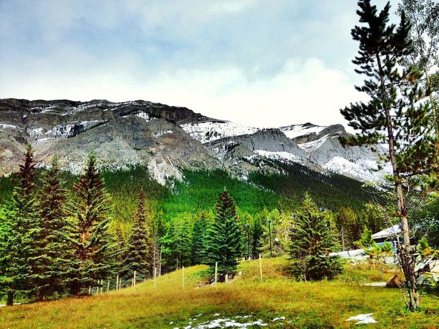 Nature
