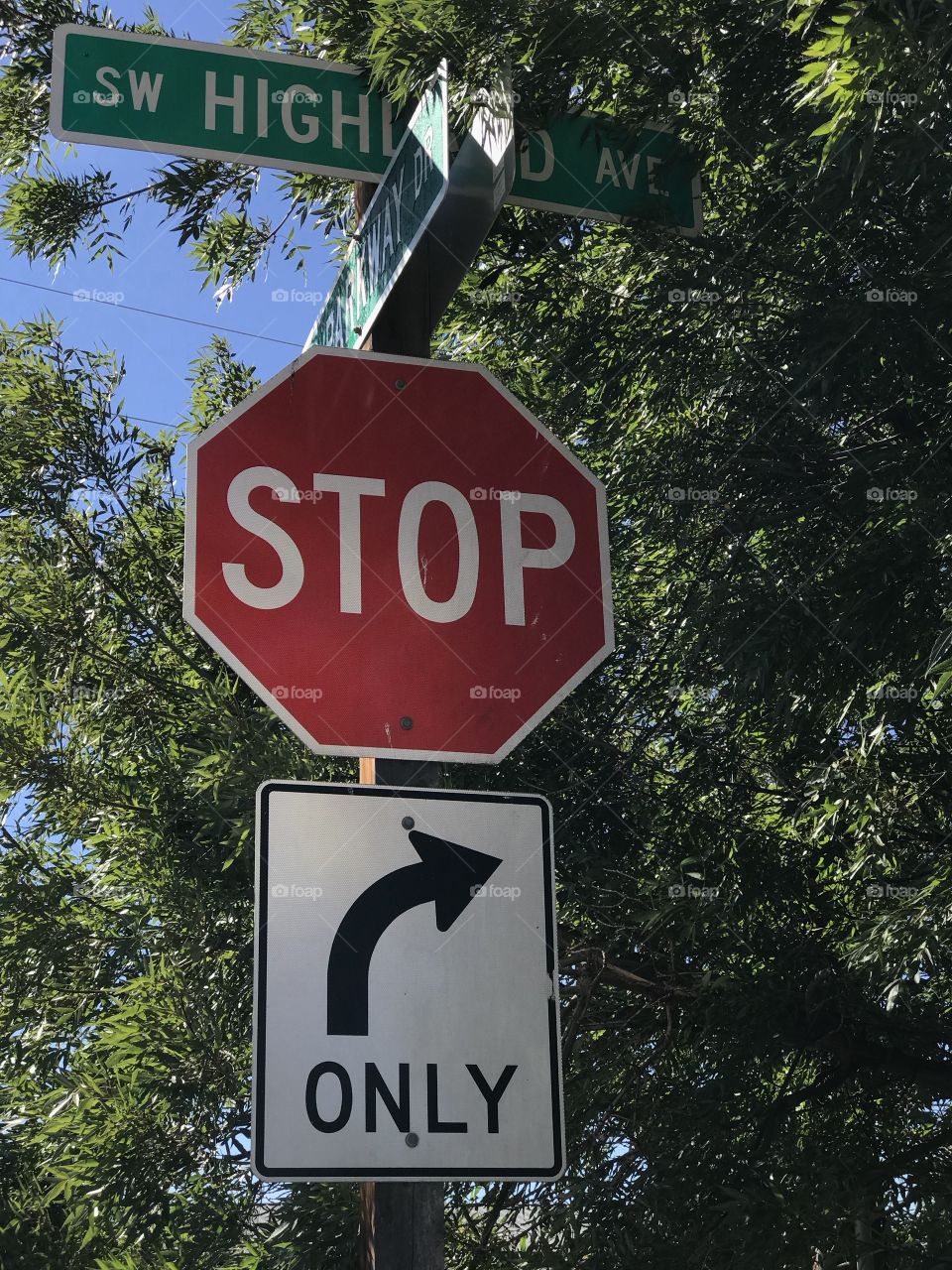 A “Stop” and “Right turn only” directional sign on a corner in the city amongst lush green trees with a beautiful blue sky in the background on a sunny fall day in Central Oregon.