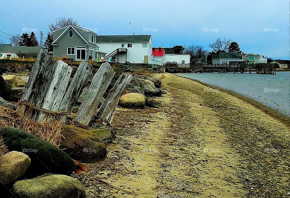 driftwood