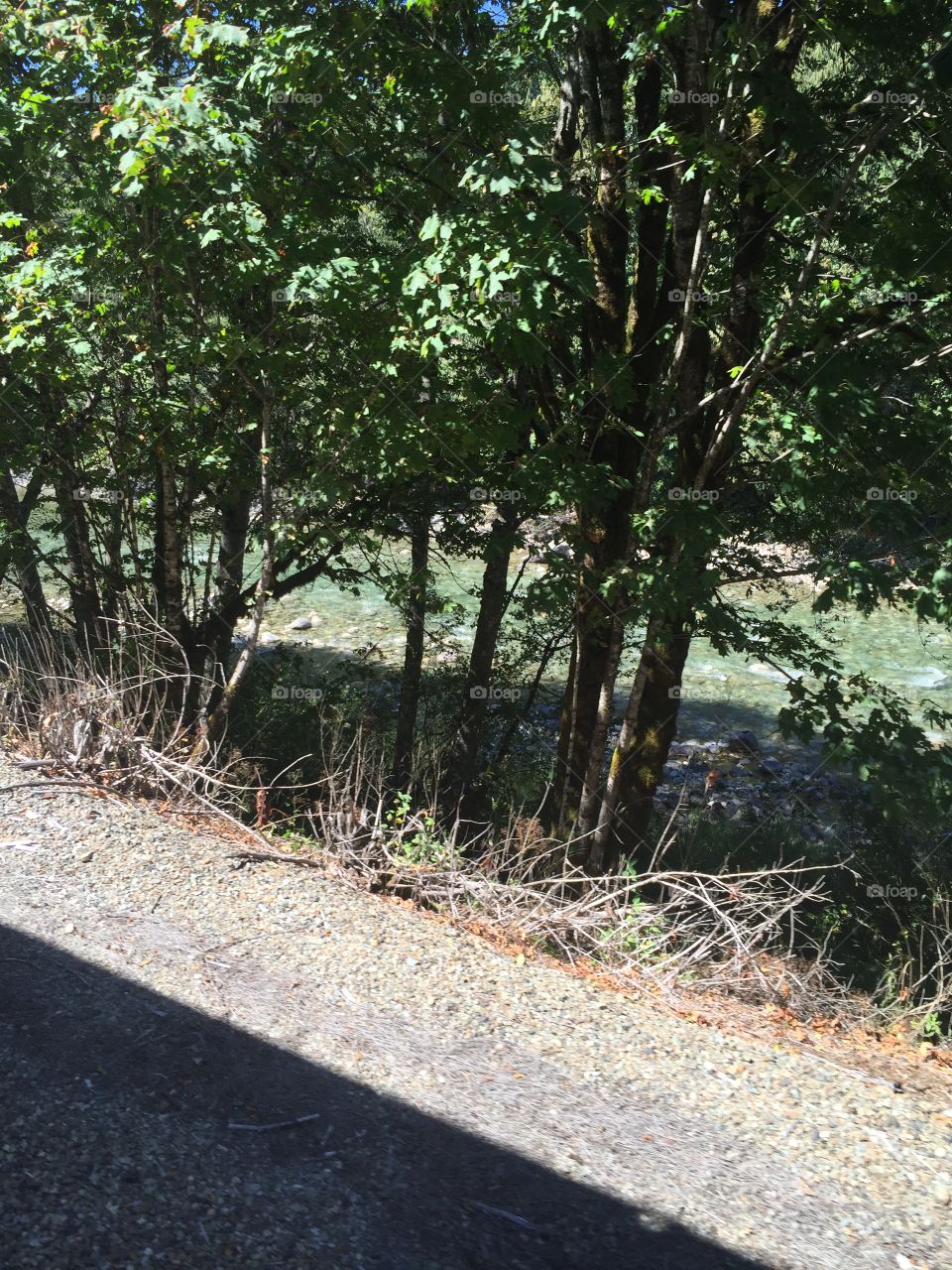 Landscape, Nature, Wood, Road, Guidance