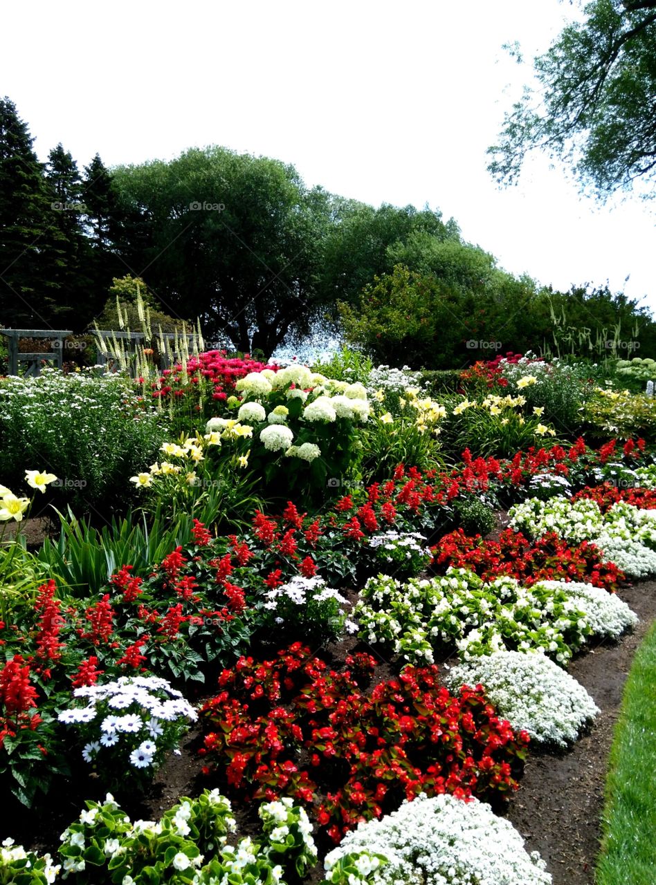 Red and White Garden