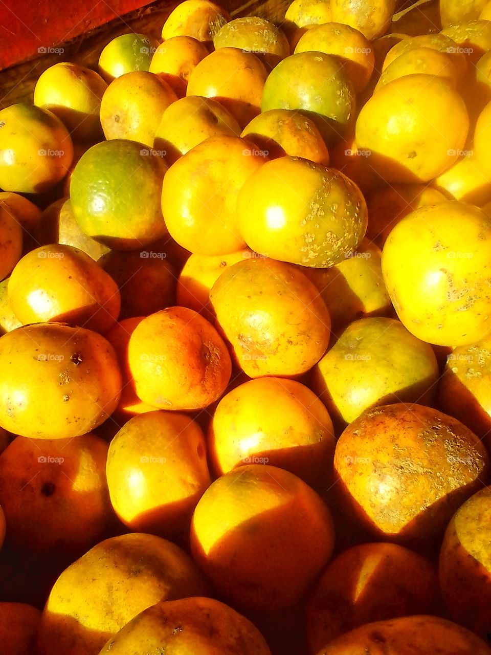 This orange fruit is very sweet