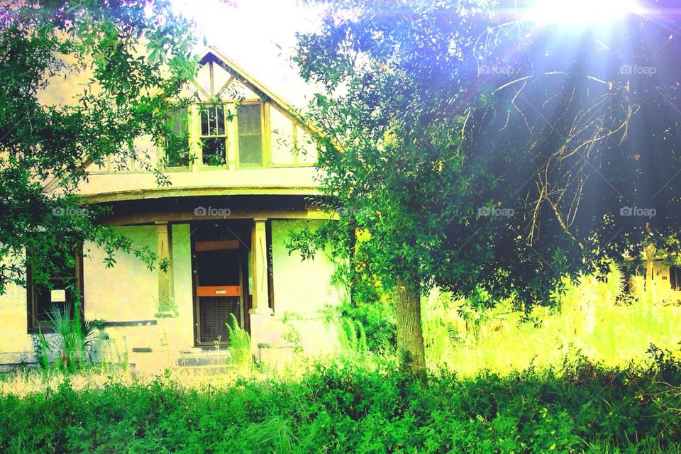 Charming abandoned house