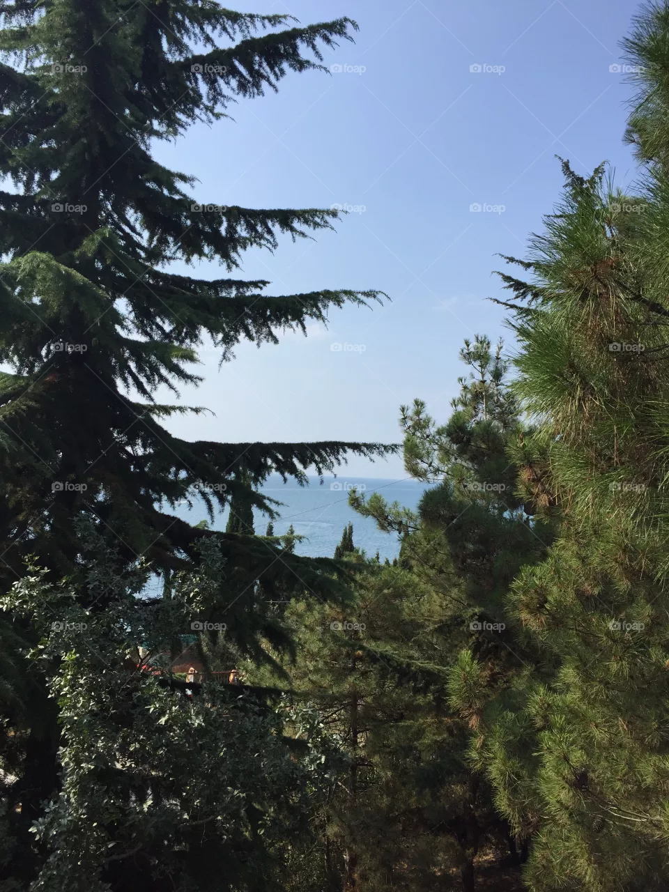 Crimea 