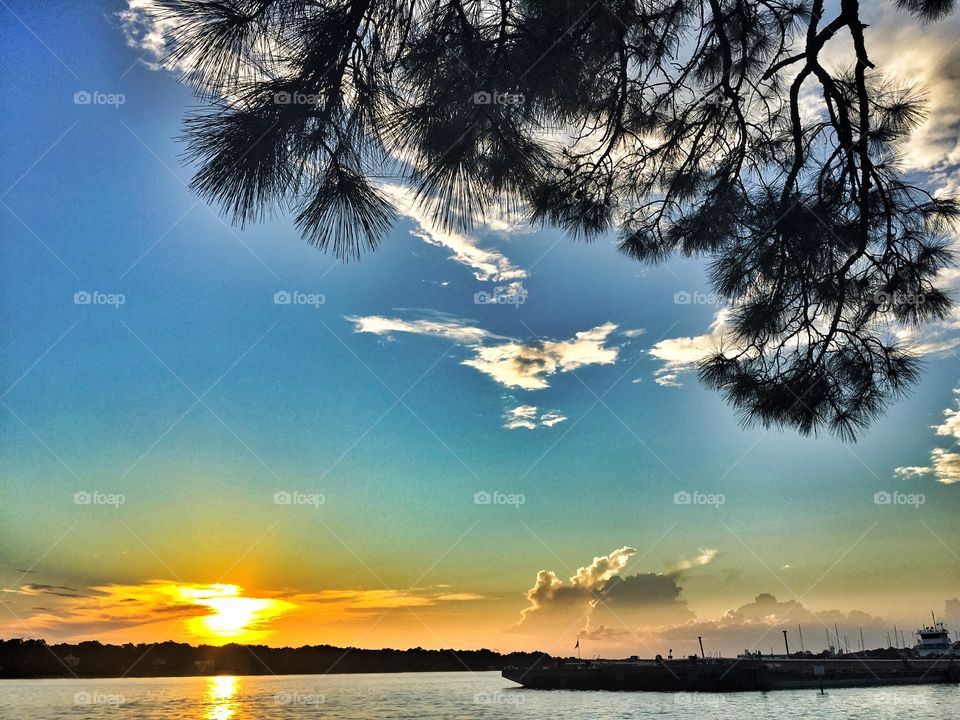 Pure gold. A golden hour sunset on boggy bayou Florida