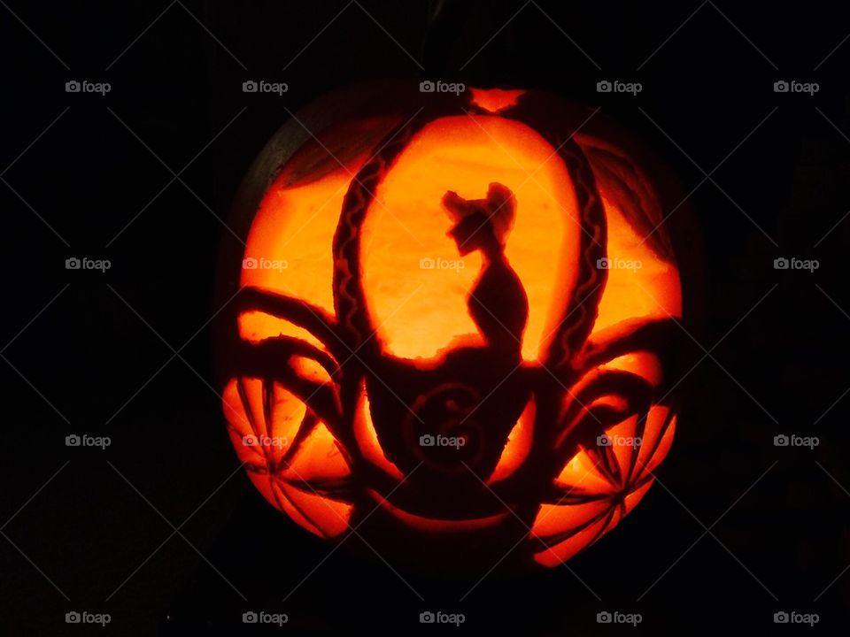 Cinderella Disney pumpkin carriage