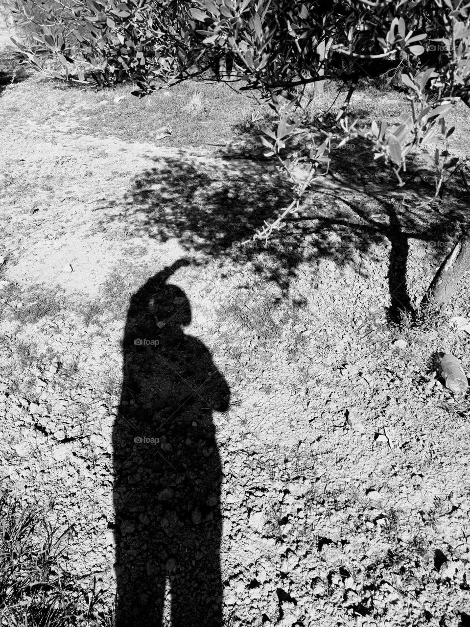 The human imagination is a boundless realm where creativity, ideas, and visions take shape. It serves as the catalyst for innovation,art and storytelling, allowing individuals to explore the extraordinary and bring forth the unimaginable into reality