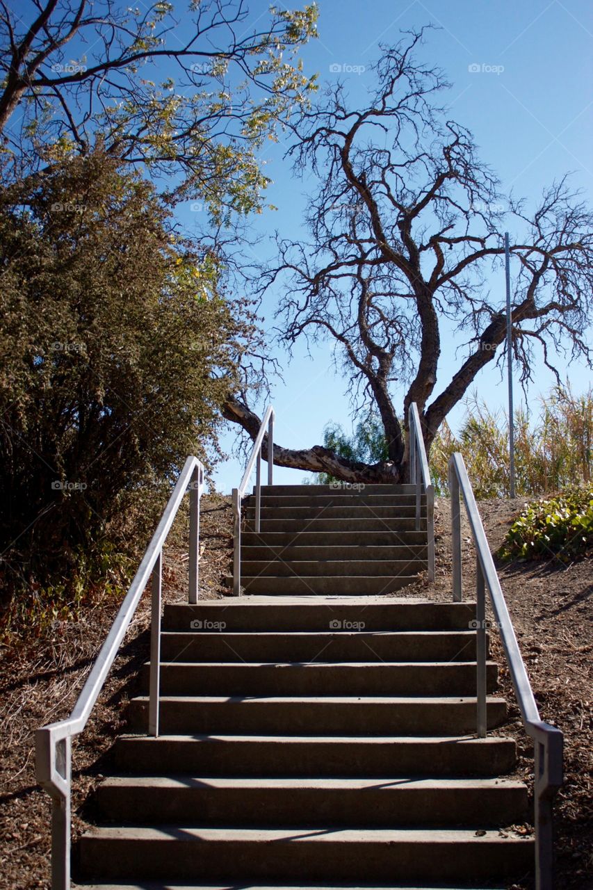 Stairway 