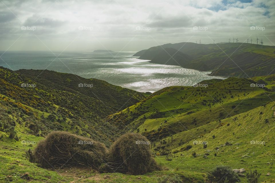 What a beautiful nature