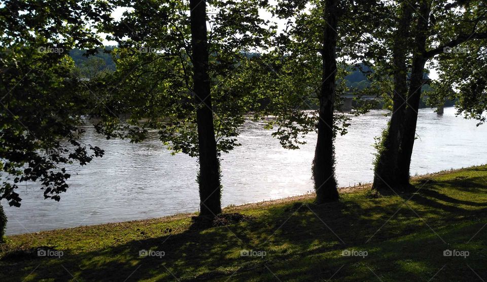 calm evening river water