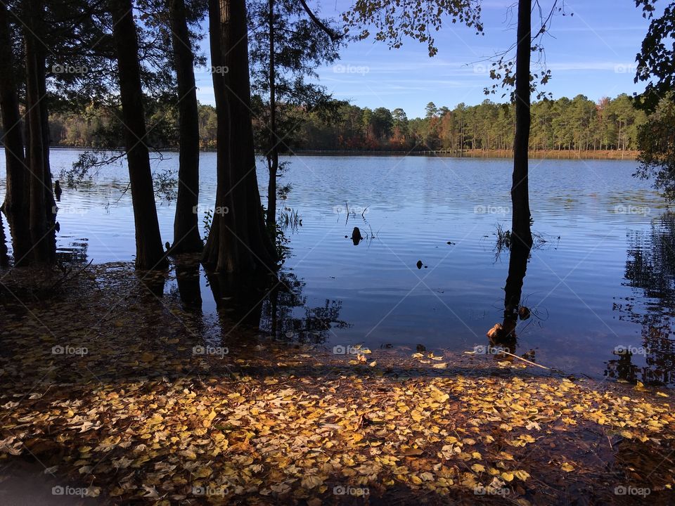 Lake rising 
