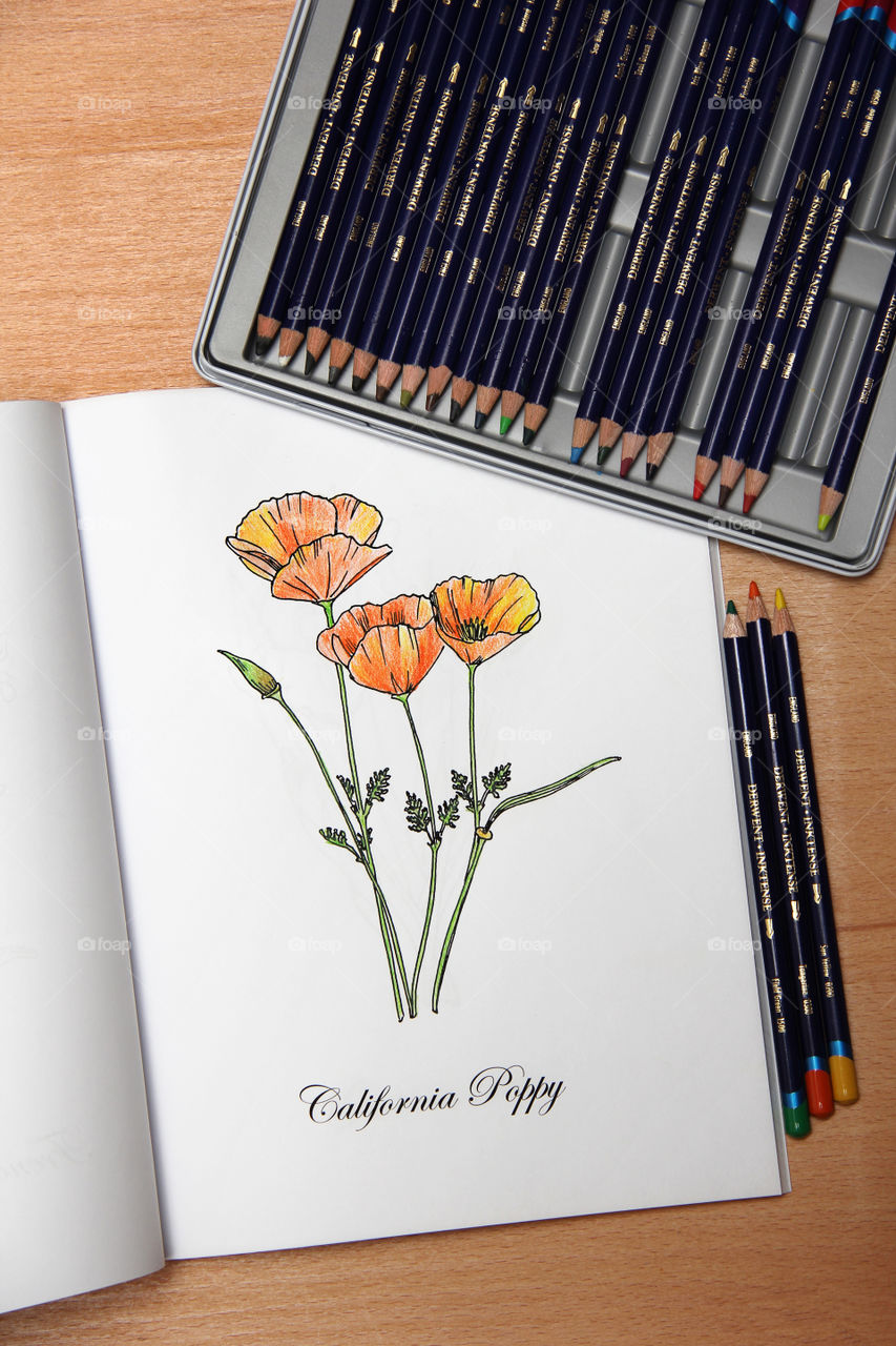 Coloring flowers with colored pencils 