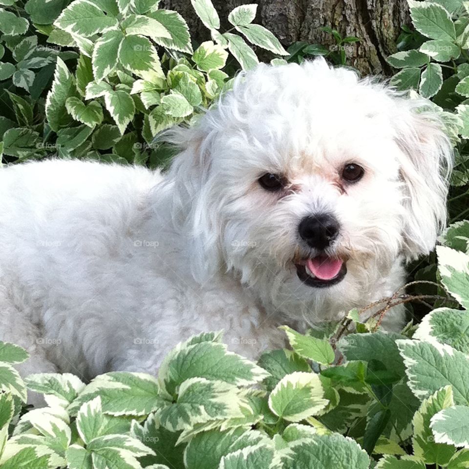 Cooper smiles in the shade