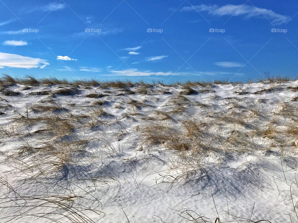 Frozen dunes...