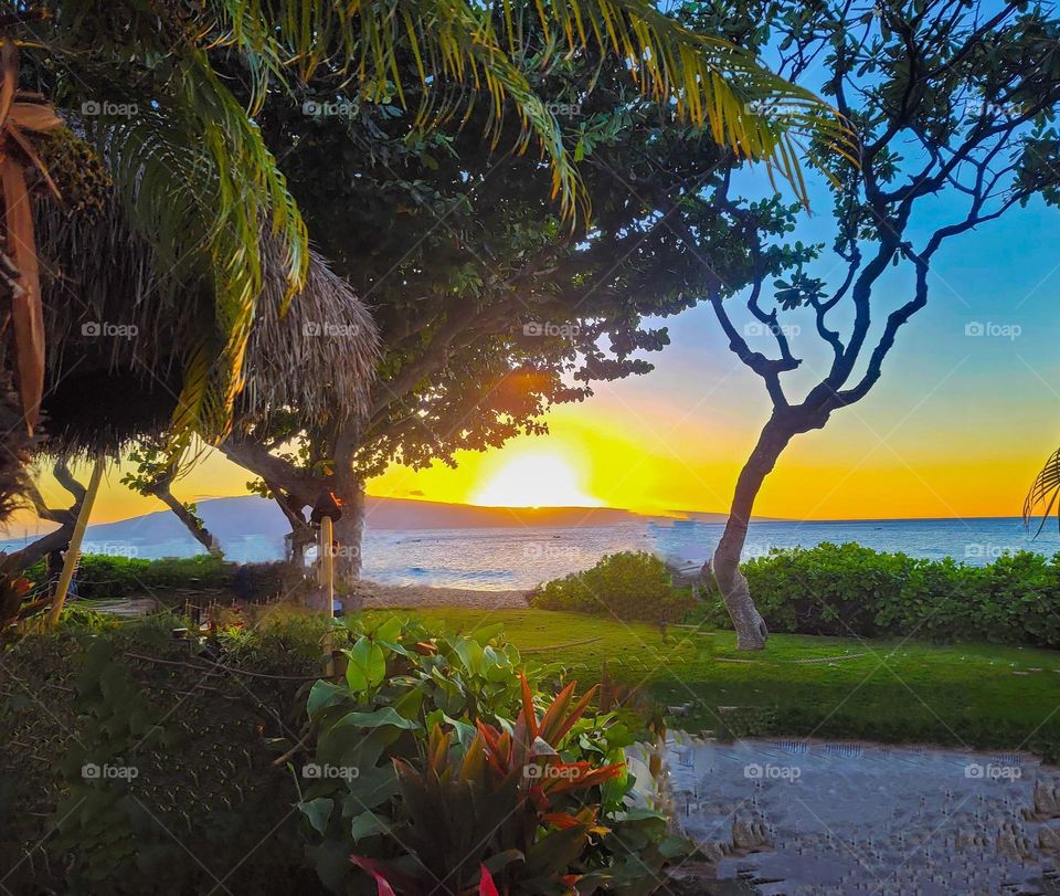 Gorgeous sunset, in Maui Hawaii.