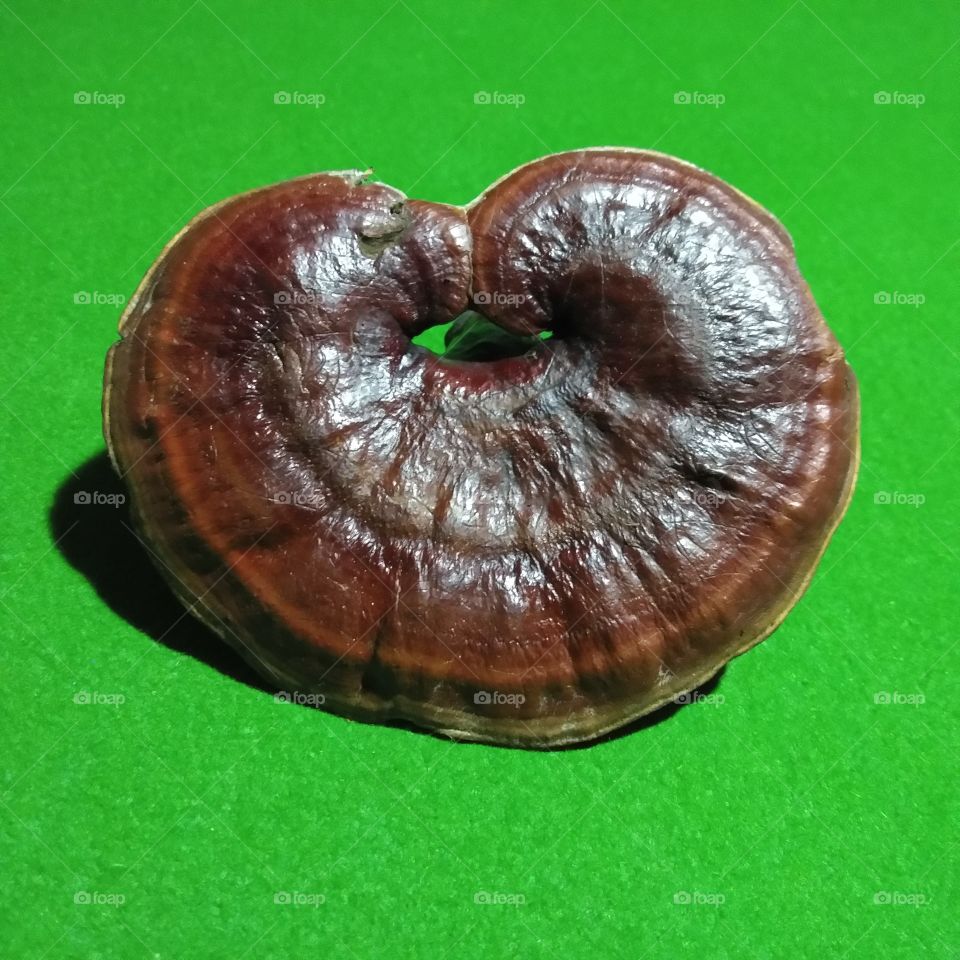 For me Unknow name , who know comment to me ,I wanna to show U😃😁