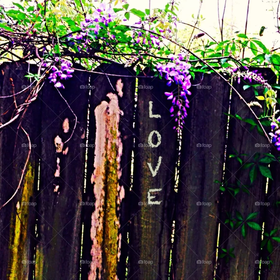 Love