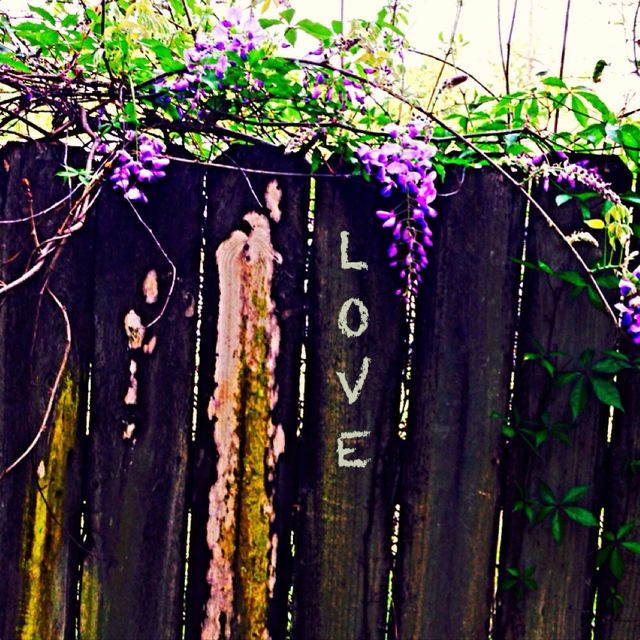 Love
