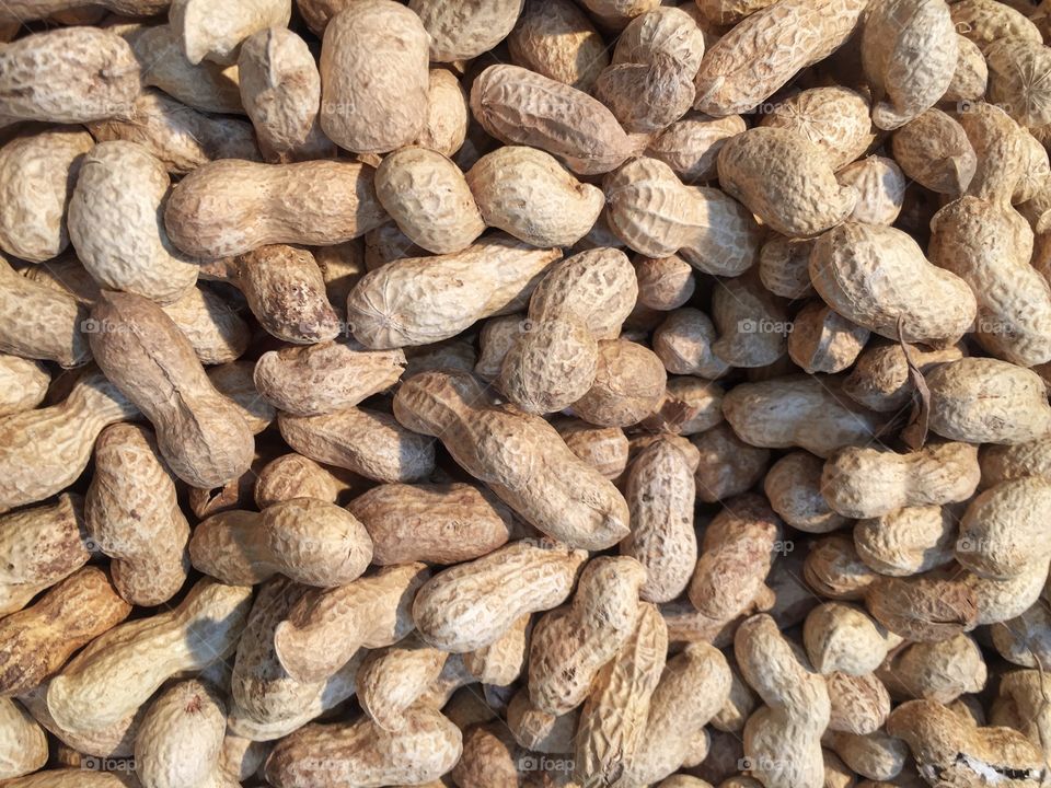 Whole groundnuts on display 